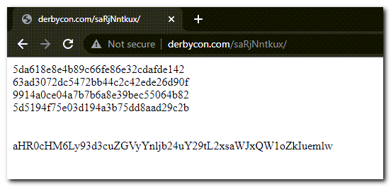 IMAGE - derbycon-page-hashes